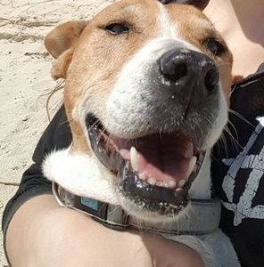 Meet your Posher, Naomi